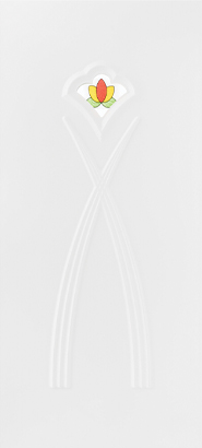 PVC Kapı Paneli 1001